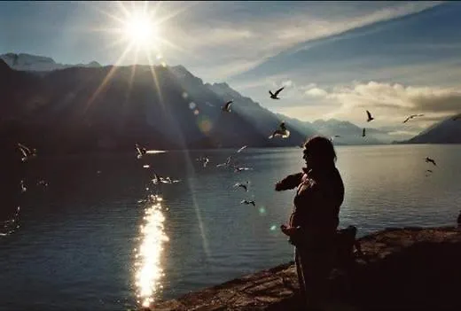 Seehotel Sternen Brienz (Bern)