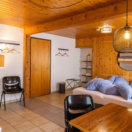 Seehotel Sternen * ברינץ