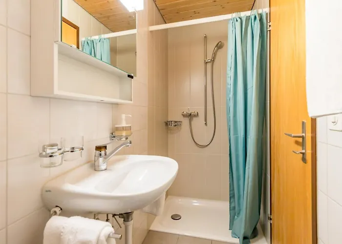 Seehotel Sternen * ברינץ